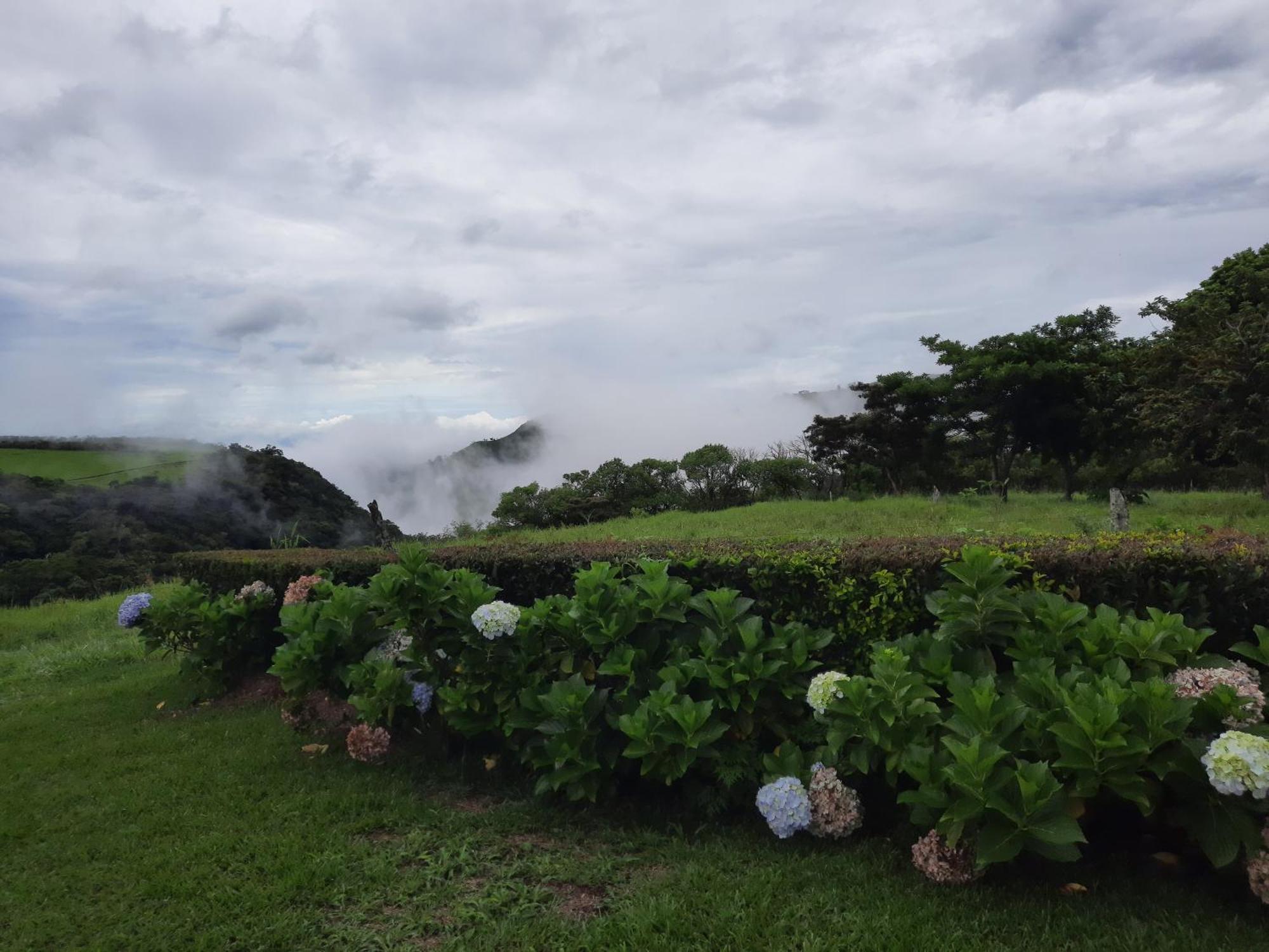 Campo Azul #2 - Monteverde Rum bild